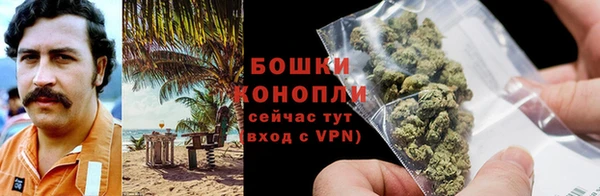сатива Баксан