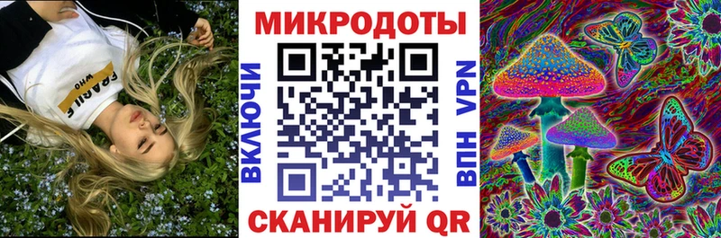 Псилоцибиновые грибы Psilocybe  цены наркотик  Улан-Удэ 